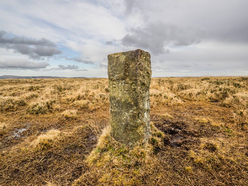PUDC-Boundary-Stone,-Holne-Moor,-No.39-(345-m)1
