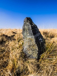 Rail and Tramway Milestones