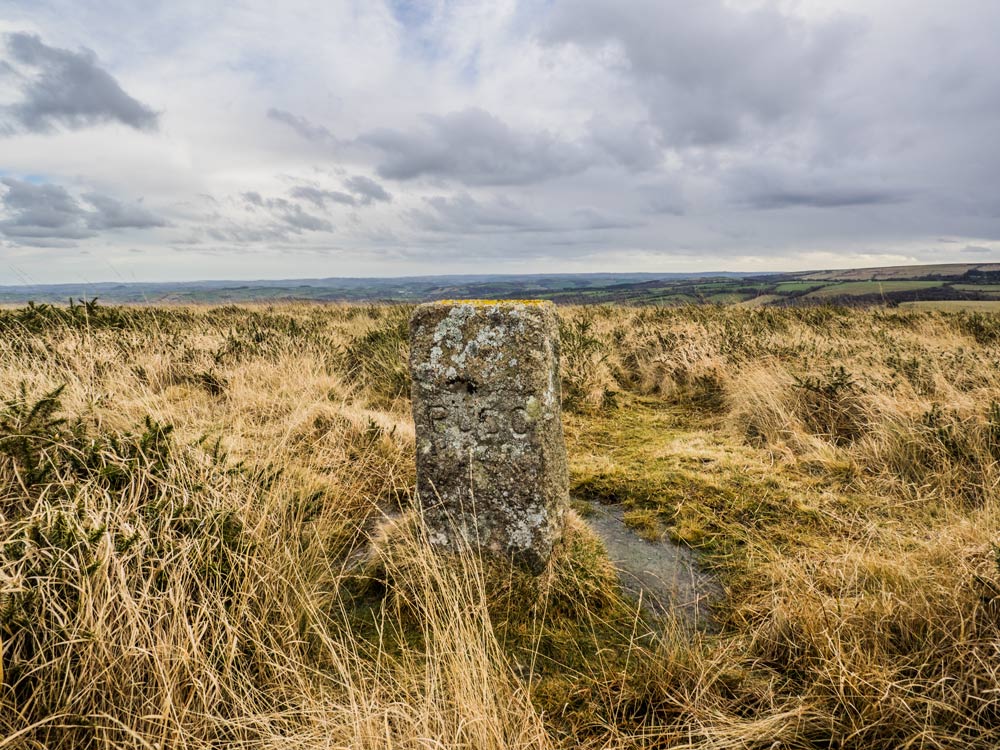 PUDC-Boundary-Stone,-Holne-Moor,-No.36-(368-m)1
