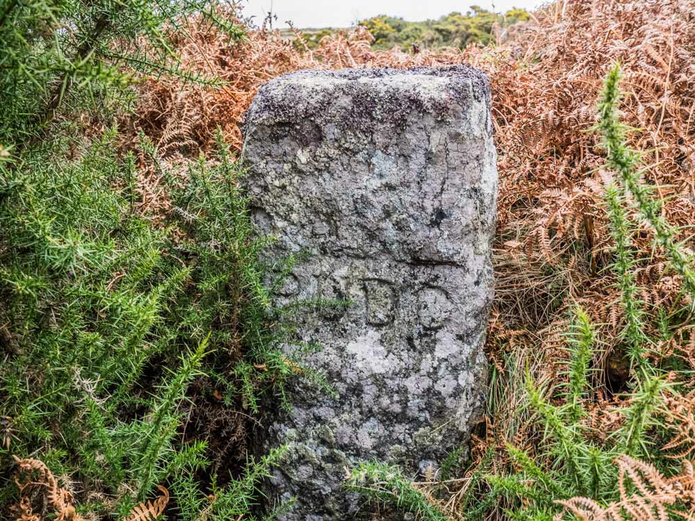 PUDC-Boundary-Stone,-Holne-Moor,-No.46-(305-m)1