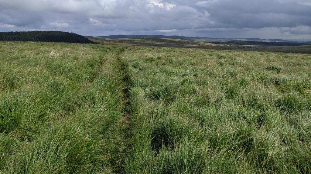 White Ridge | Dartefacts