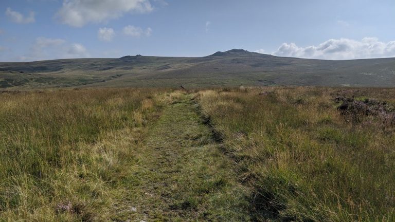 Willsworthy Ranges White Hill (Willsworthy Range) | Dartefacts: Dartmoor Artefacts