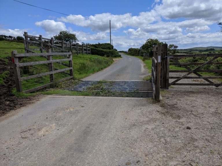 Cattle Grid near Lower Merripit | Dartefacts