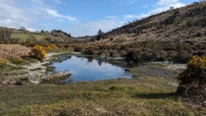 Tinners' Reservoirs and Dams