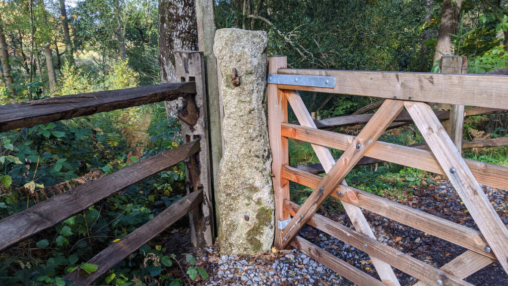 Pullabrook Wood West Gatepost | Dartefacts