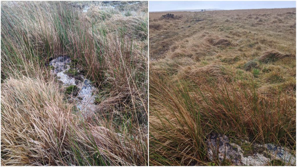 Harford/ Ugborough – BS No.30 Recumbent Post | Dartefacts
