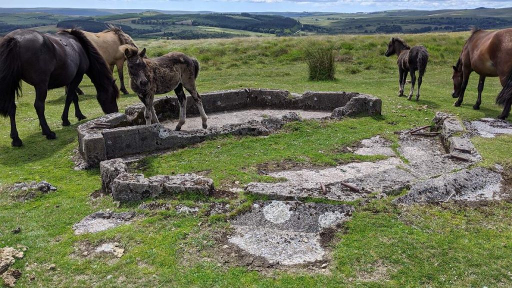HFDF Station, Merripit Hill, Ruin | Dartefacts