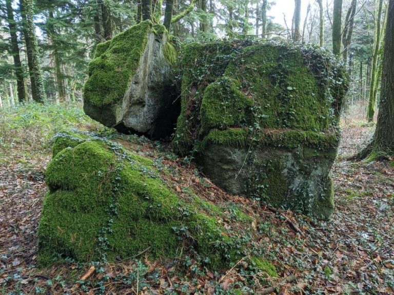 Barton Down Rocks | Dartefacts