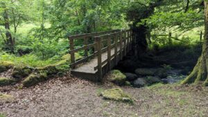 Wooden Foot Bridges